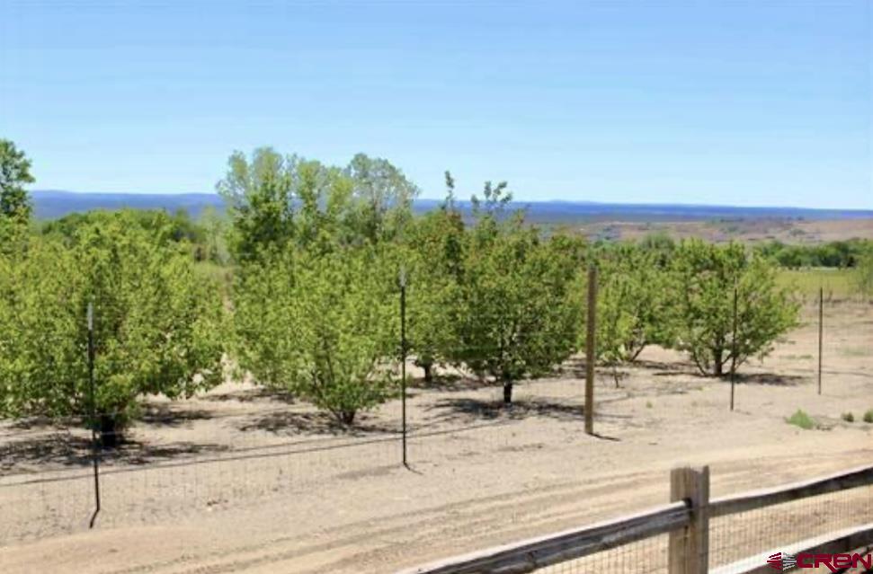 12689 6100 Road Montrose CO 81401