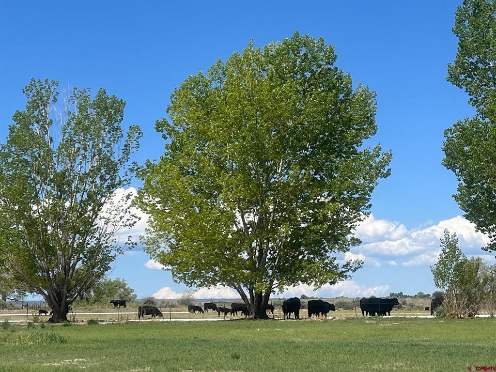 12689 6100 Road Montrose CO 81401