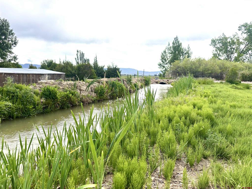 12689 6100 Road Montrose CO 81401