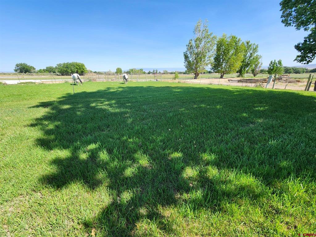 12689 6100 Road Montrose CO 81401