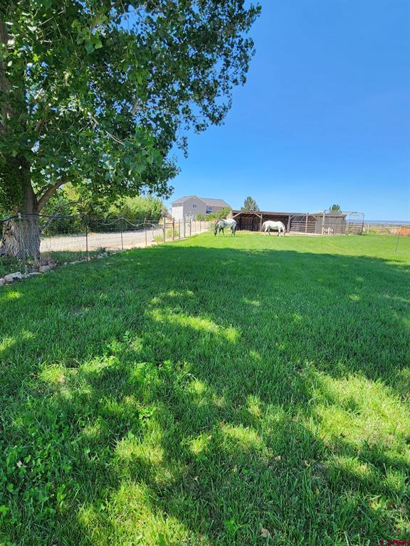 12689 6100 Road Montrose CO 81401