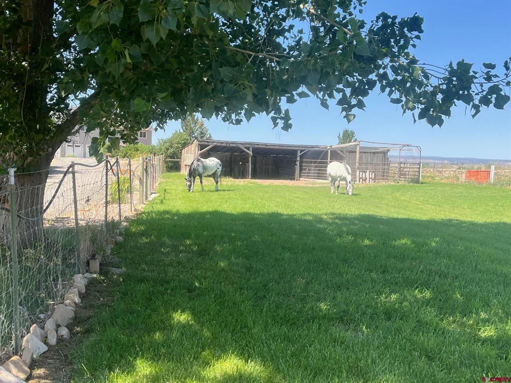 12689 6100 Road Montrose CO 81401