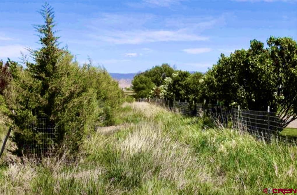 12689 6100 Road Montrose CO 81401