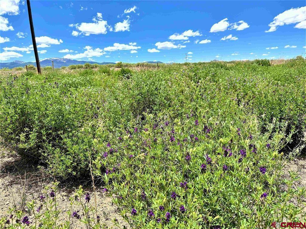 18 County Road 28 Monte Vista CO 81144