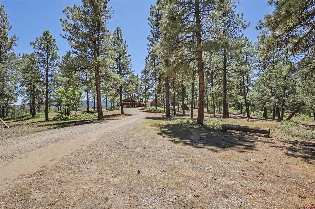 2180 Backcountry Drive Pagosa Springs CO 81147