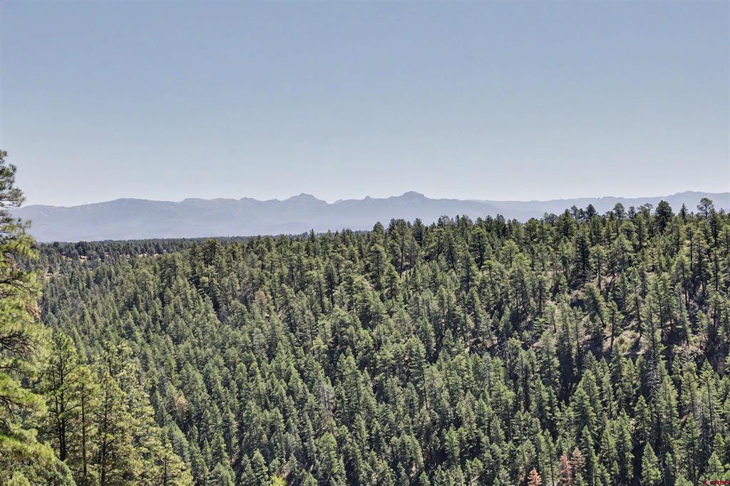 2180 Backcountry Drive Pagosa Springs CO 81147