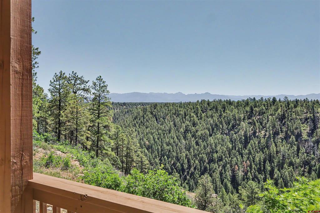 2180 Backcountry Drive Pagosa Springs CO 81147