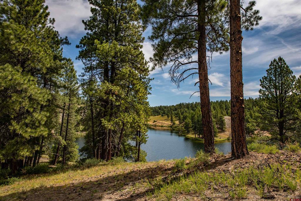 3001 Hidden Valley Drive Pagosa Springs CO 81147