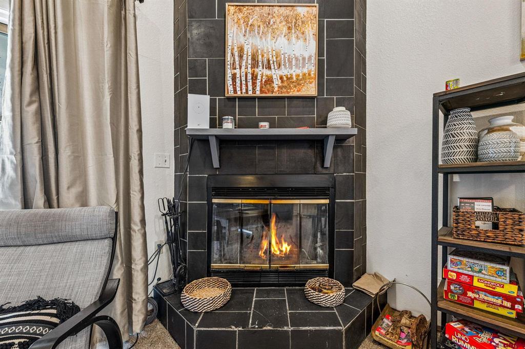 166 Yankee Girl Court Durango CO 81301