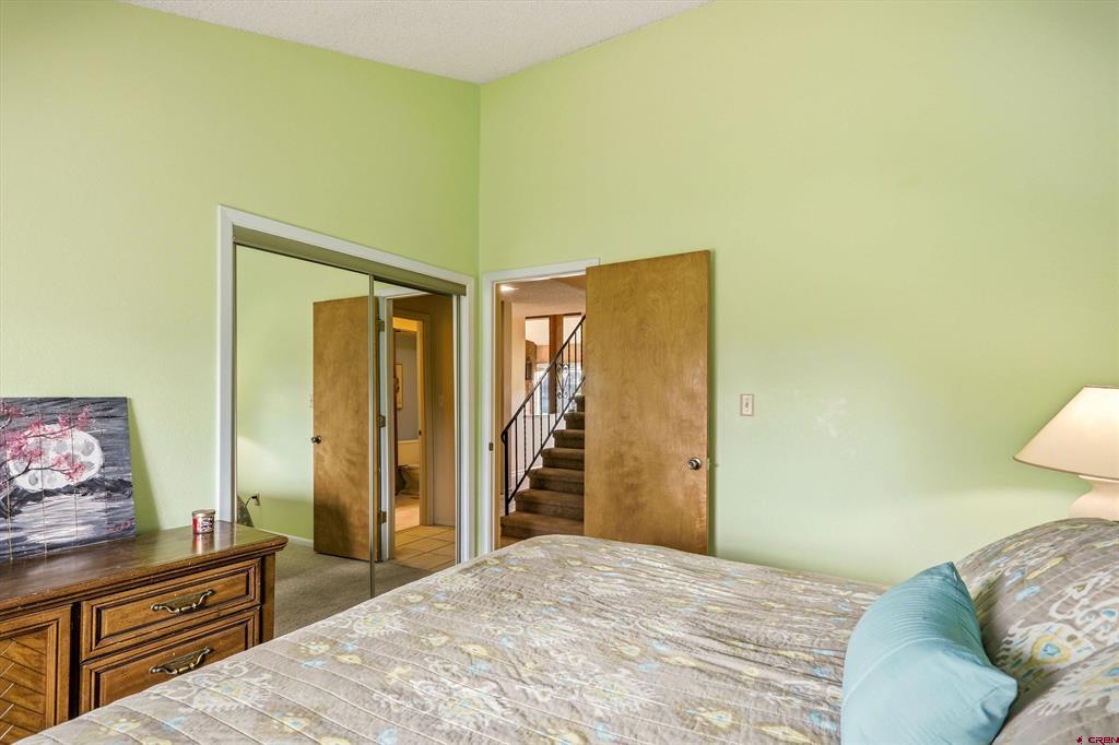 145 Davis Cup Drive Pagosa Springs CO 81147