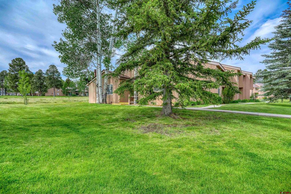 145 Davis Cup Drive Pagosa Springs CO 81147