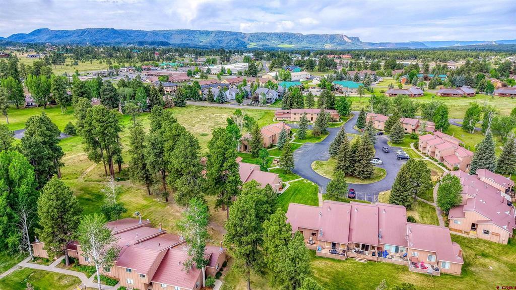 145 Davis Cup Drive Pagosa Springs CO 81147