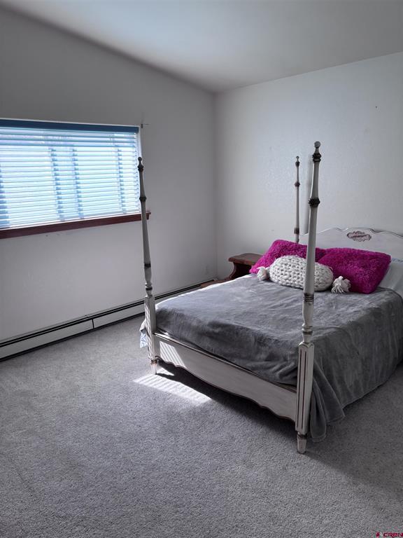 85 Pioneer Road Monte Vista CO 81144