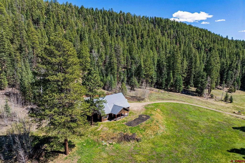 885 Puma Place Pagosa Springs CO 81147