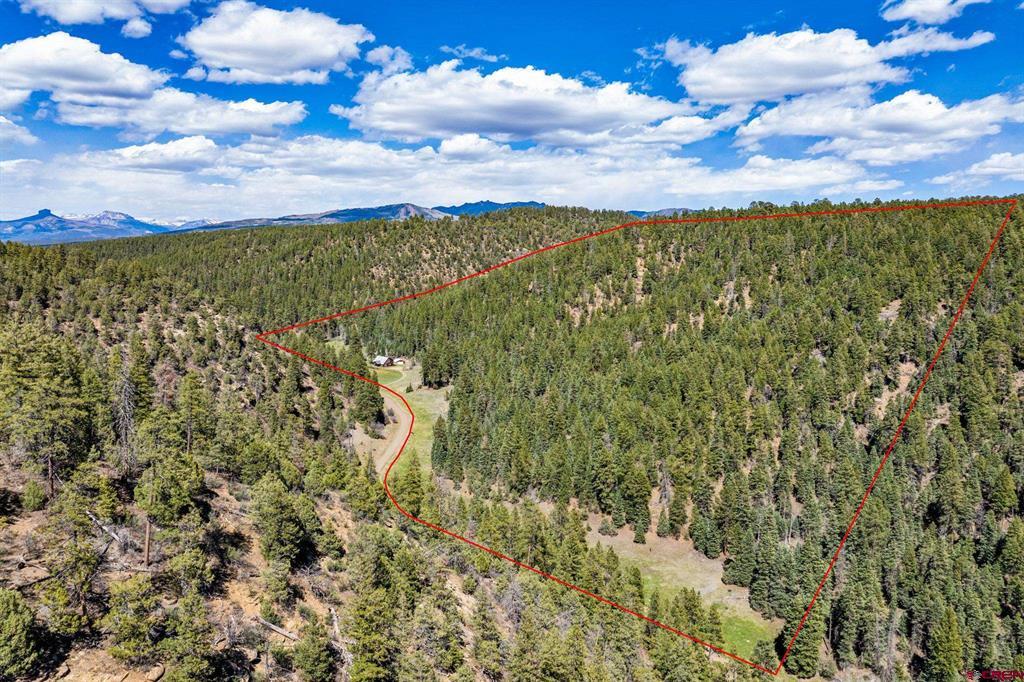 885 Puma Place Pagosa Springs CO 81147