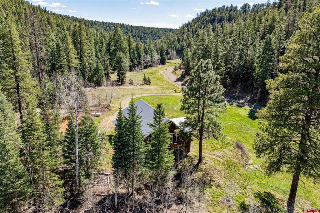 885 Puma Place Pagosa Springs CO 81147