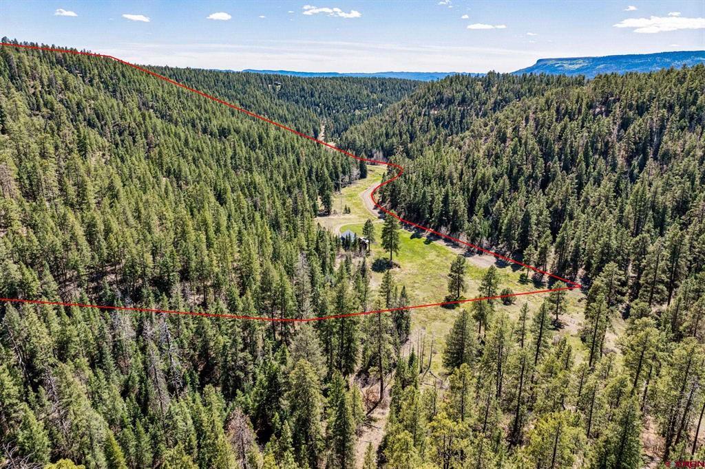 885 Puma Place Pagosa Springs CO 81147