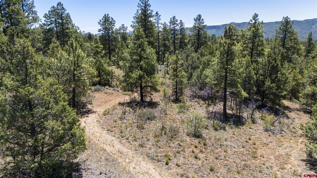 221 S Elk Run Durango CO 81303