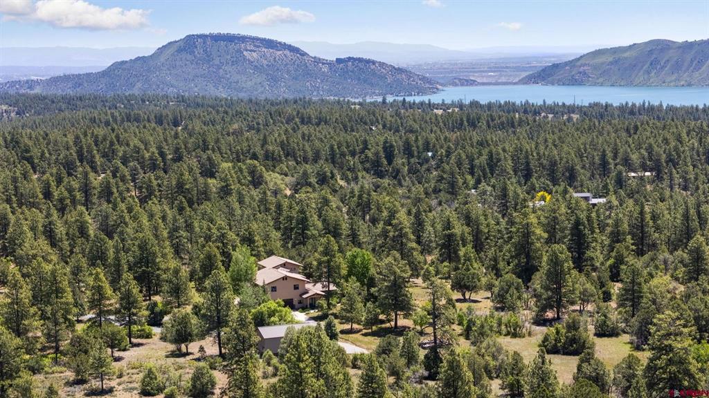 221 S Elk Run Durango CO 81303