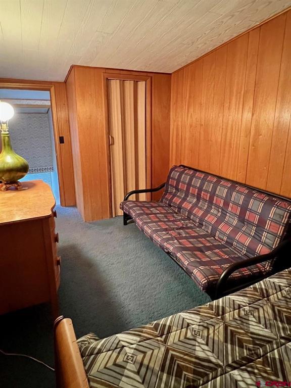 546 2nd Street Ouray CO 81427