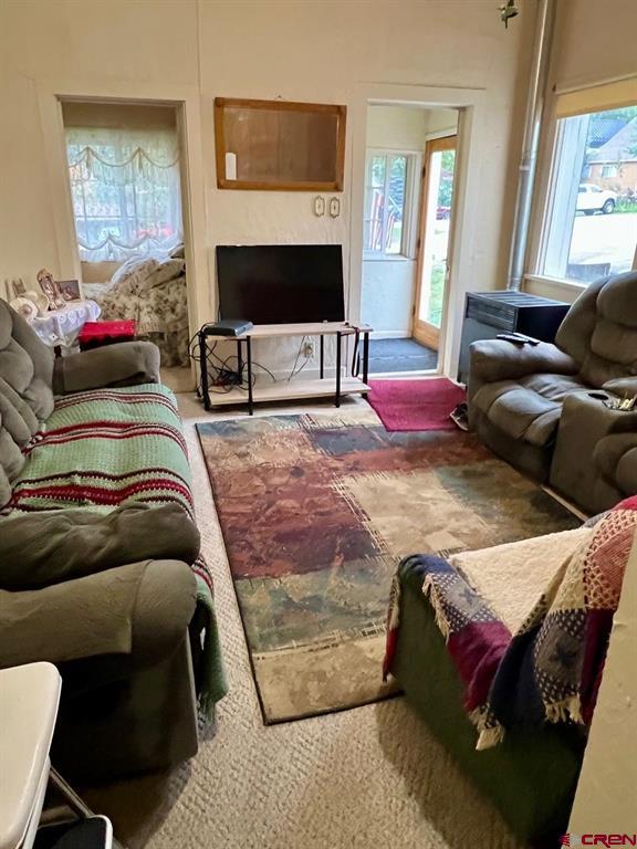 546 2nd Street Ouray CO 81427