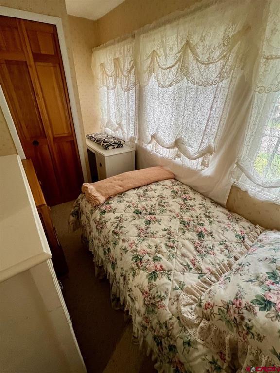 546 2nd Street Ouray CO 81427