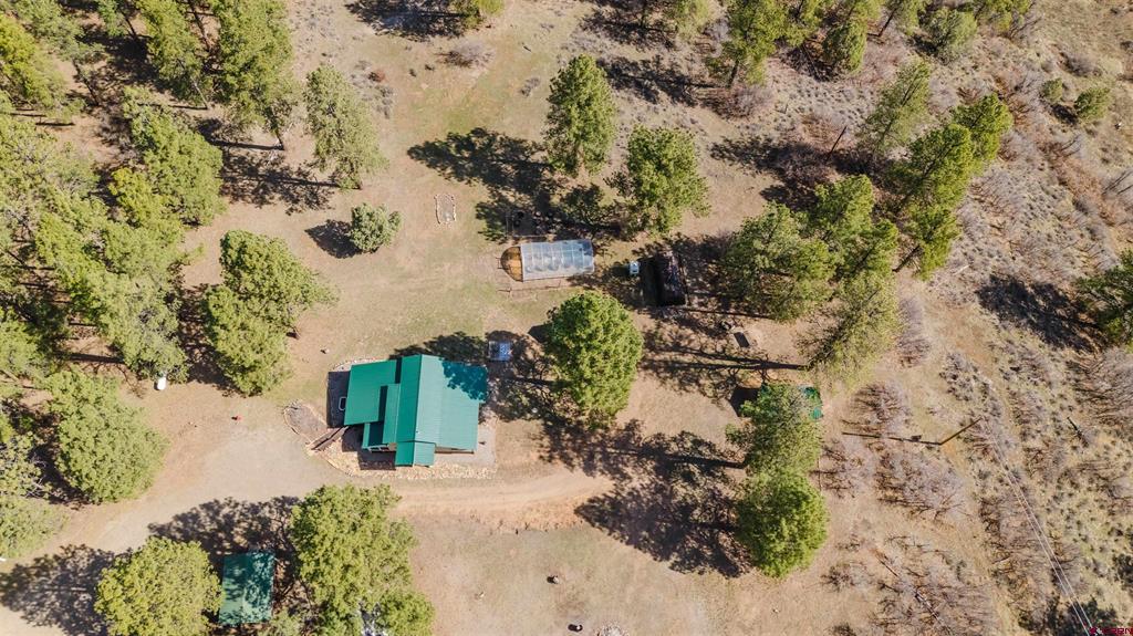 85 Mclain Court Pagosa Springs CO 81147