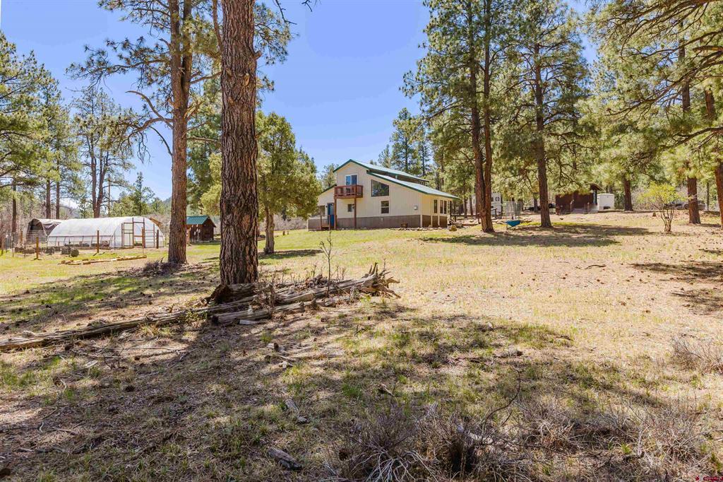 85 Mclain Court Pagosa Springs CO 81147