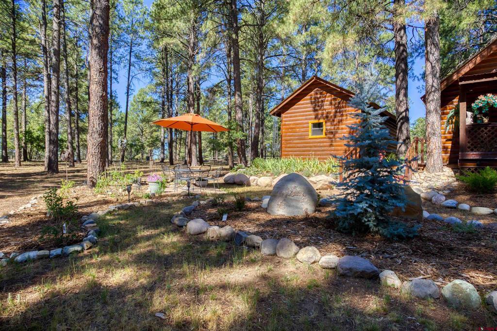 15 Enchanted Place Pagosa Springs CO 81147