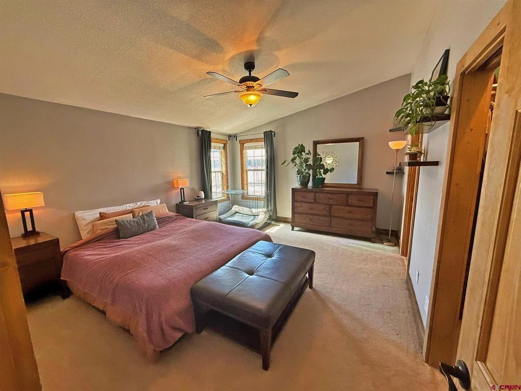 331 Hidden View Drive South Fork CO 81154