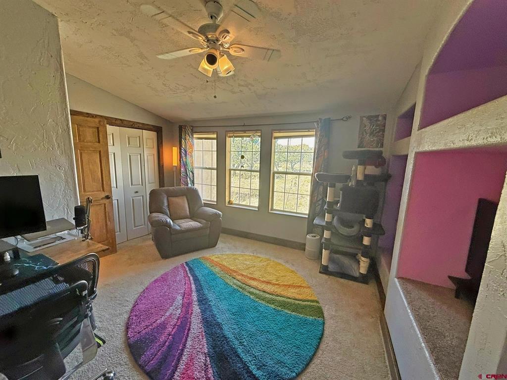 331 Hidden View Drive South Fork CO 81154
