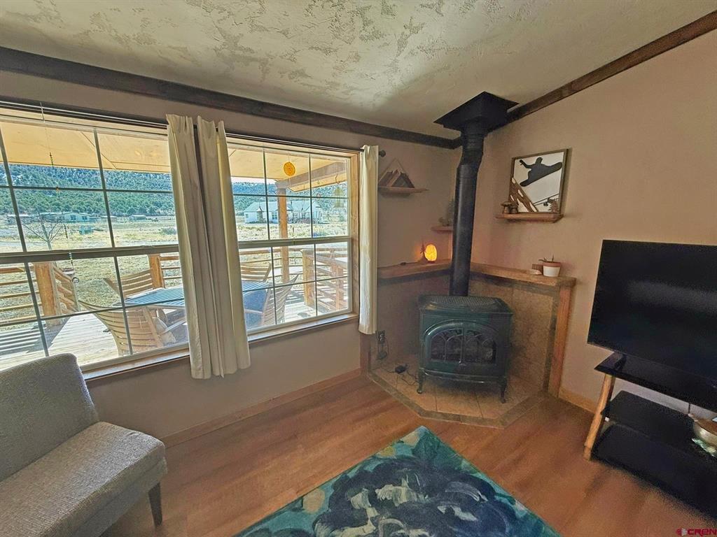 331 Hidden View Drive South Fork CO 81154