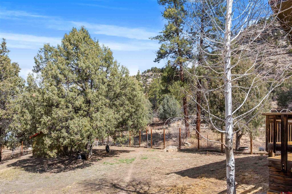 482 County Road 917 Pagosa Springs CO 81147
