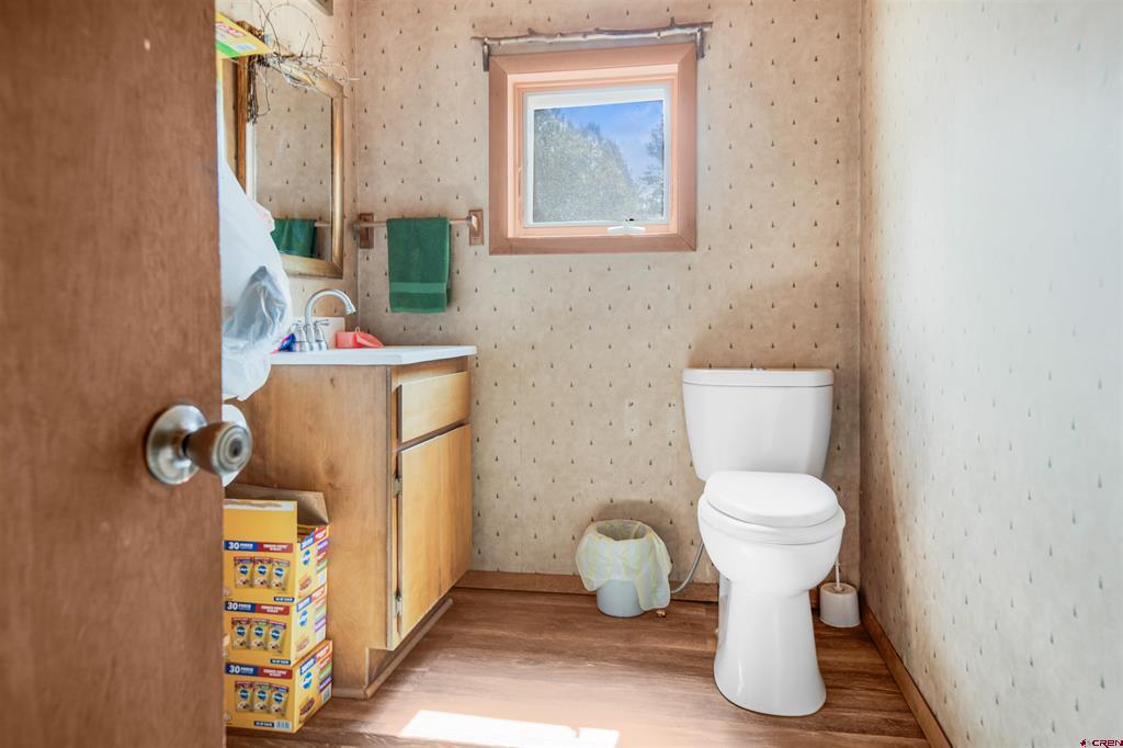 482 County Road 917 Pagosa Springs CO 81147