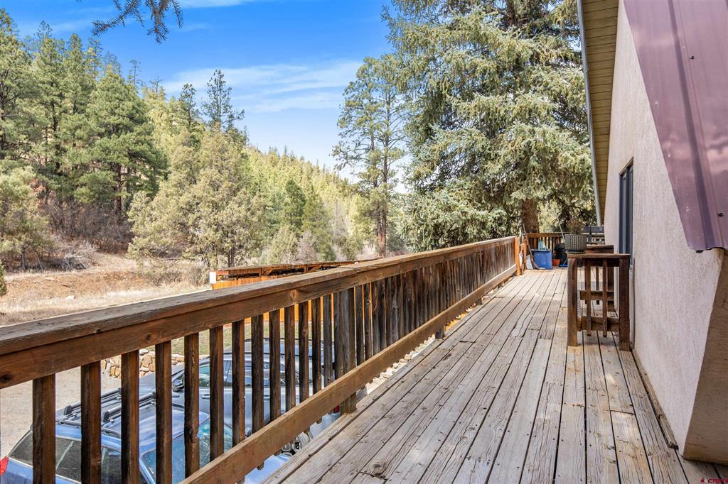 482 County Road 917 Pagosa Springs CO 81147