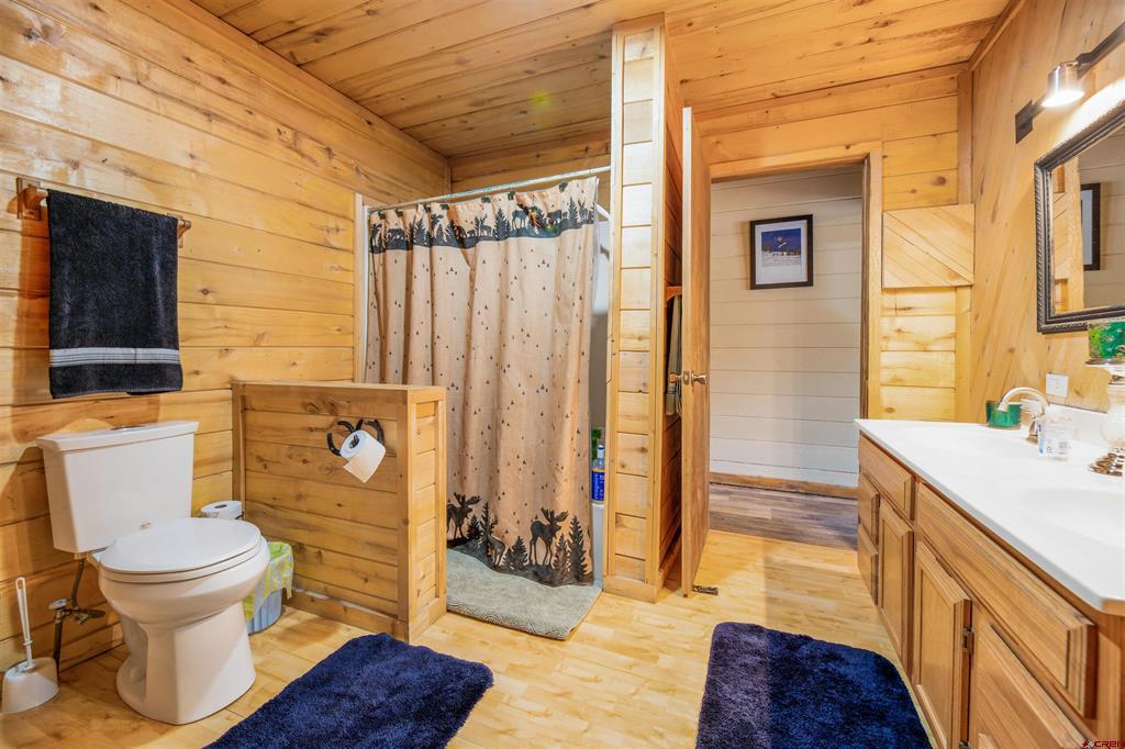 482 County Road 917 Pagosa Springs CO 81147