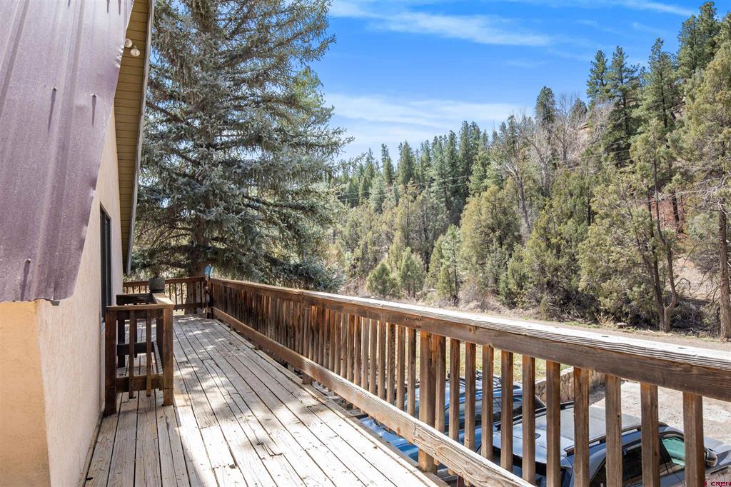 482 County Road 917 Pagosa Springs CO 81147