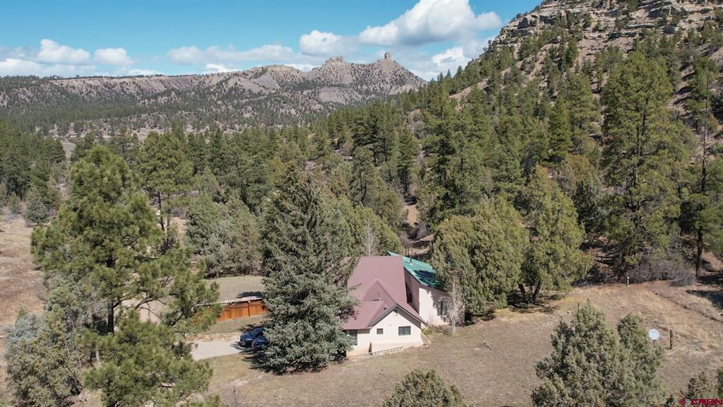 482 County Road 917 Pagosa Springs CO 81147