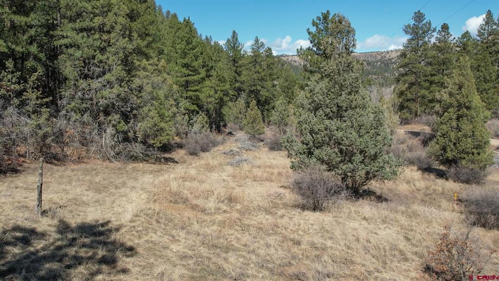 482 County Road 917 Pagosa Springs CO 81147