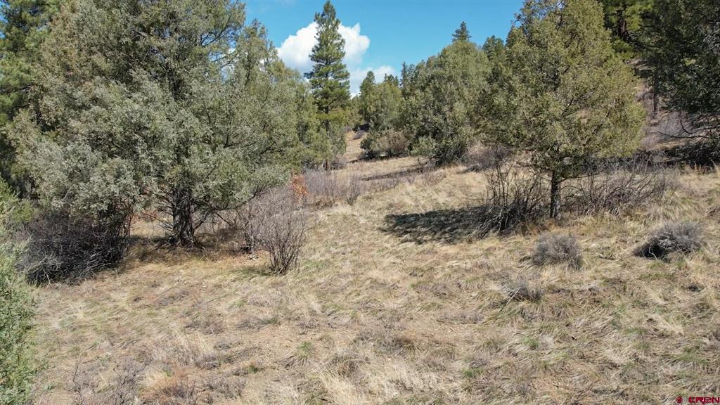 482 County Road 917 Pagosa Springs CO 81147