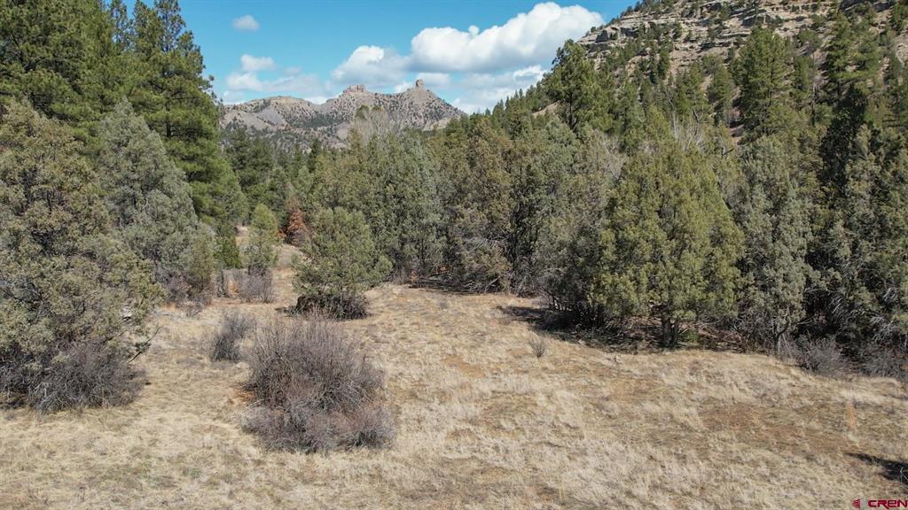 482 County Road 917 Pagosa Springs CO 81147