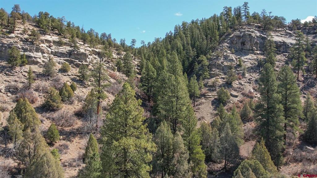 482 County Road 917 Pagosa Springs CO 81147