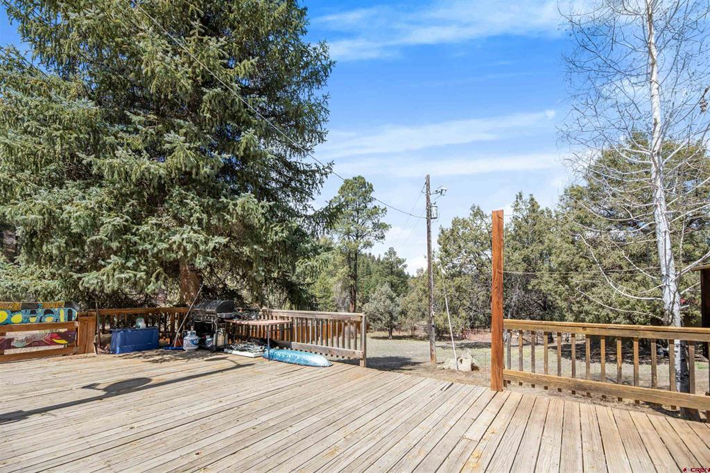 482 County Road 917 Pagosa Springs CO 81147