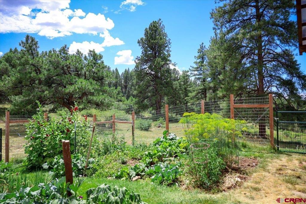 1375 County Road 326 Road Pagosa Springs CO 81147