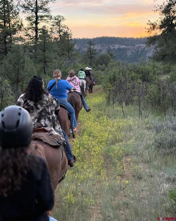 180 Cr 166 Pagosa Springs CO 81147