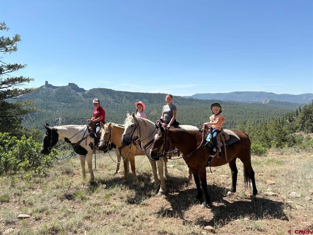 180 Cr 166 Pagosa Springs CO 81147