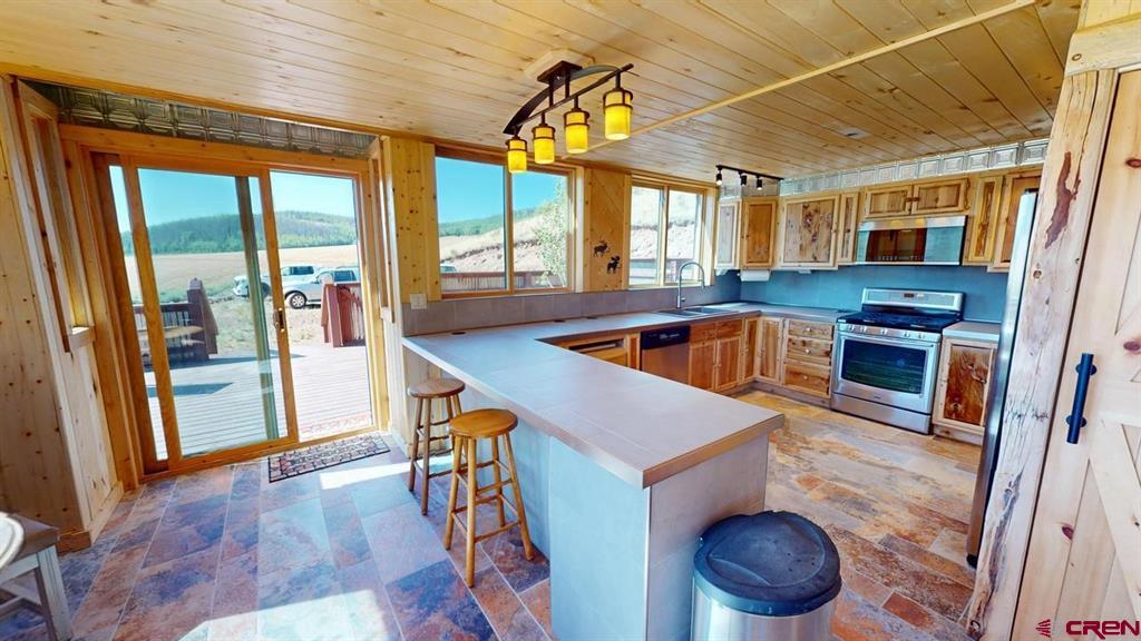 2300 Usfs 729 Road Lake City CO 81235