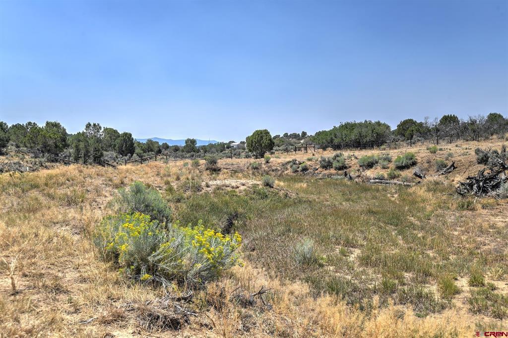 245 Etta Place Durango CO 81303