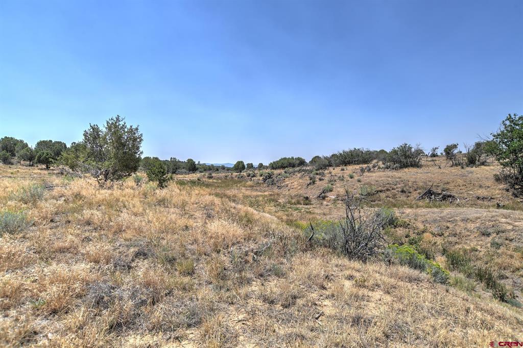 245 Etta Place Durango CO 81303
