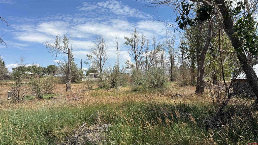 20289 Road S.7 Cortez CO 81321